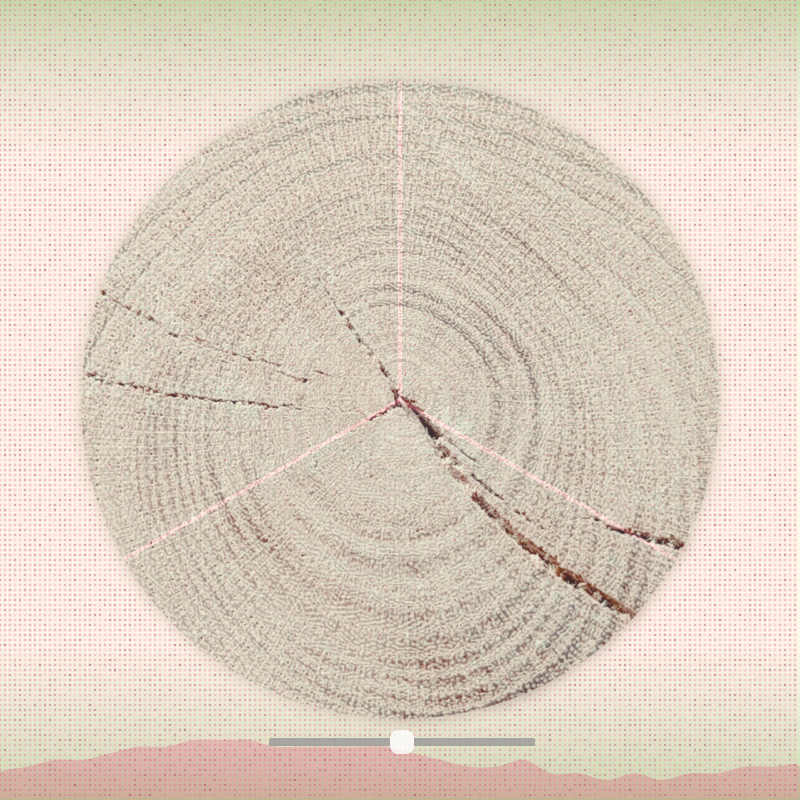 Tree ring waltz