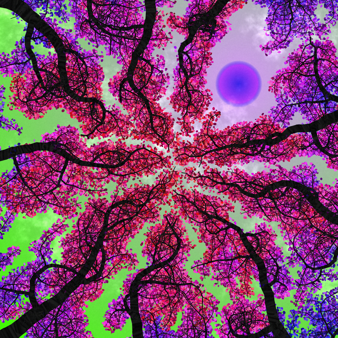 Tree Skyness #230