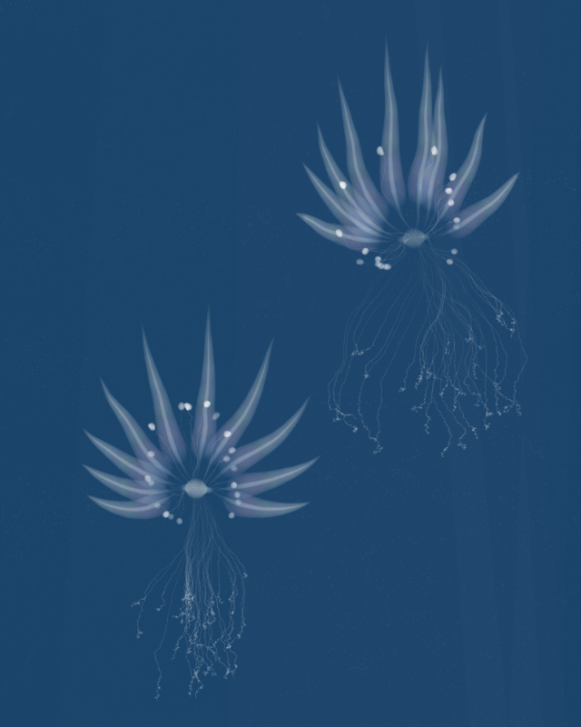 Cyanotypes #3