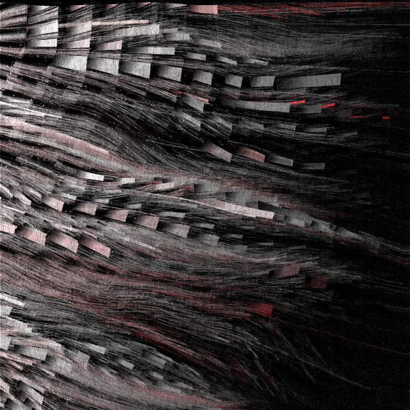 Dragons #174