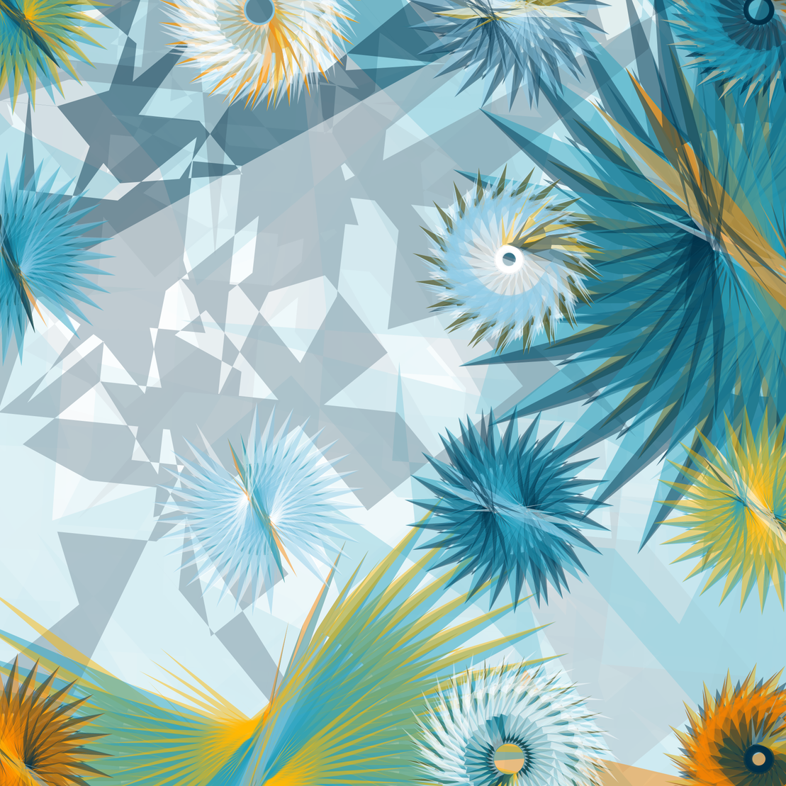 Tillandsia Lens #10