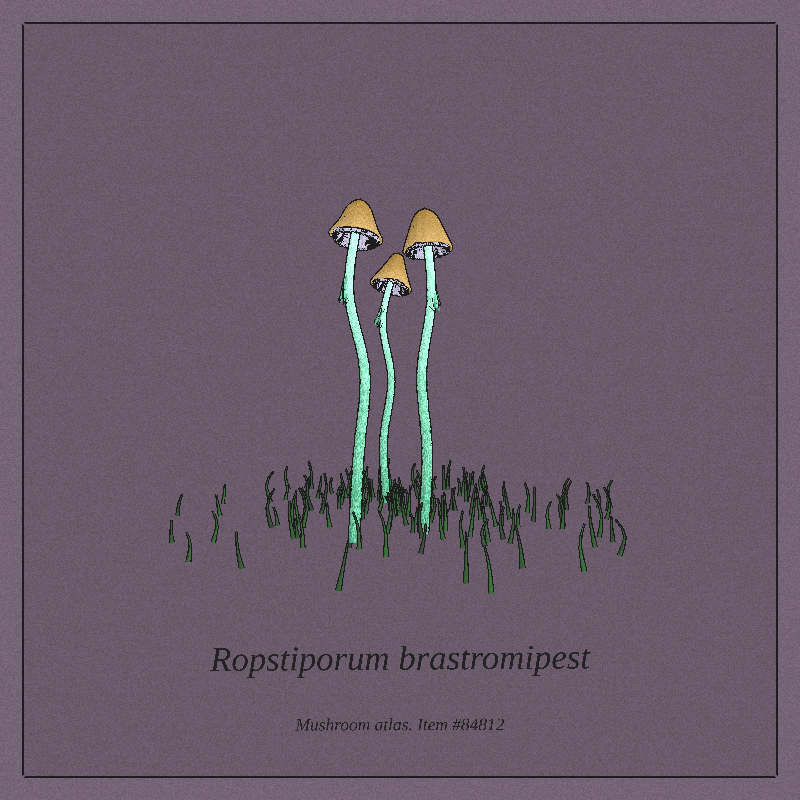 Mushroom Atlas #22