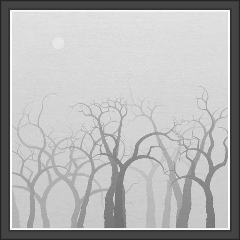 The Foggy Trees #47