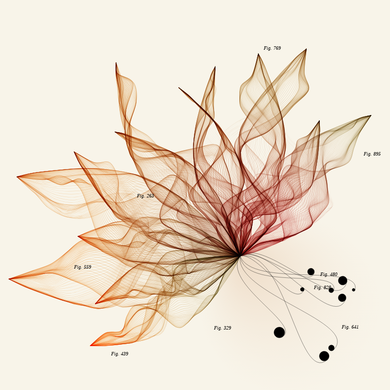 Herbarium #86