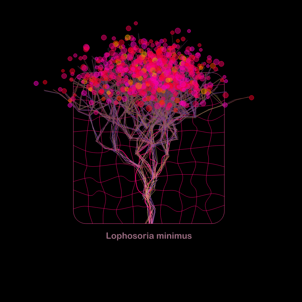 Fluidynamix - Trees #5