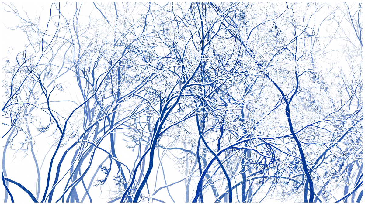 SCHNEEWALD #53