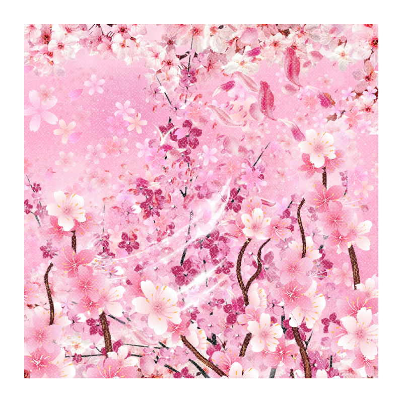 Sakura 桜 #15