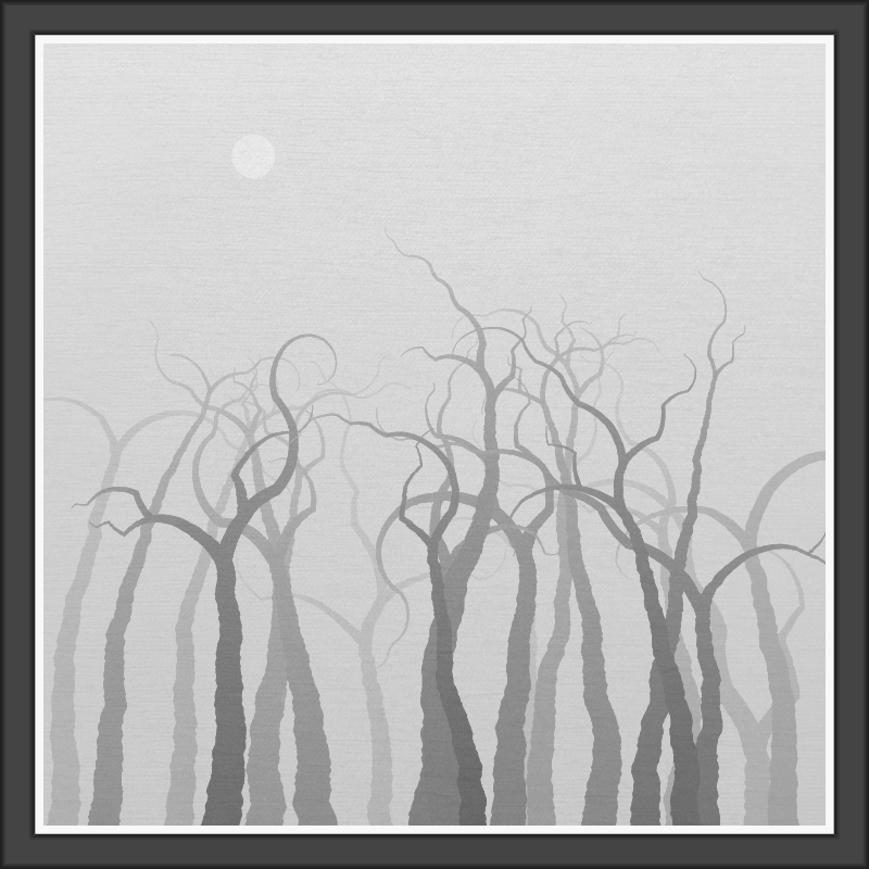 The Foggy Trees #119