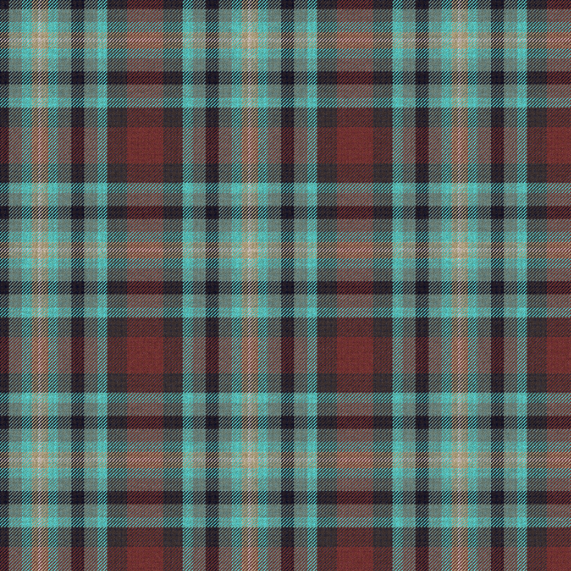 Tartan Cloth #24