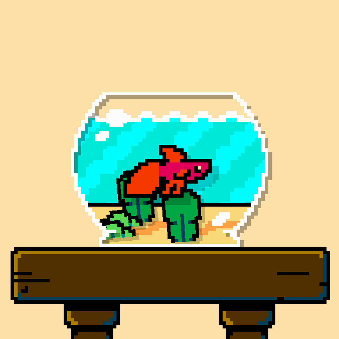 betta fish #260