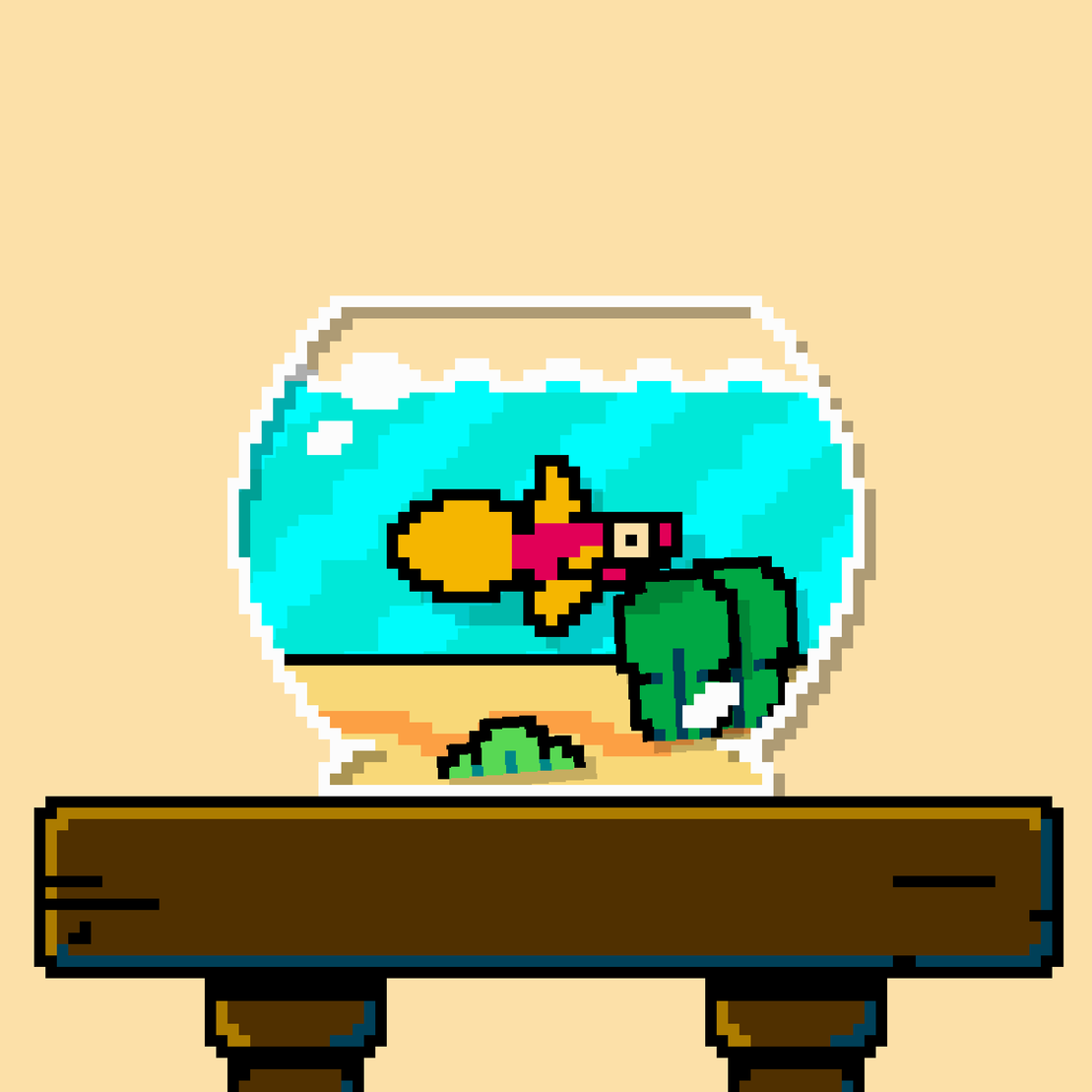 betta fish #27