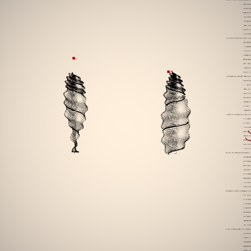 Two Specimen #47