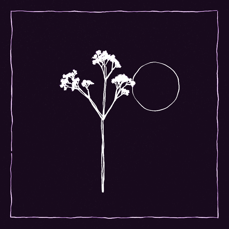 Hand-Drawn Tree #47