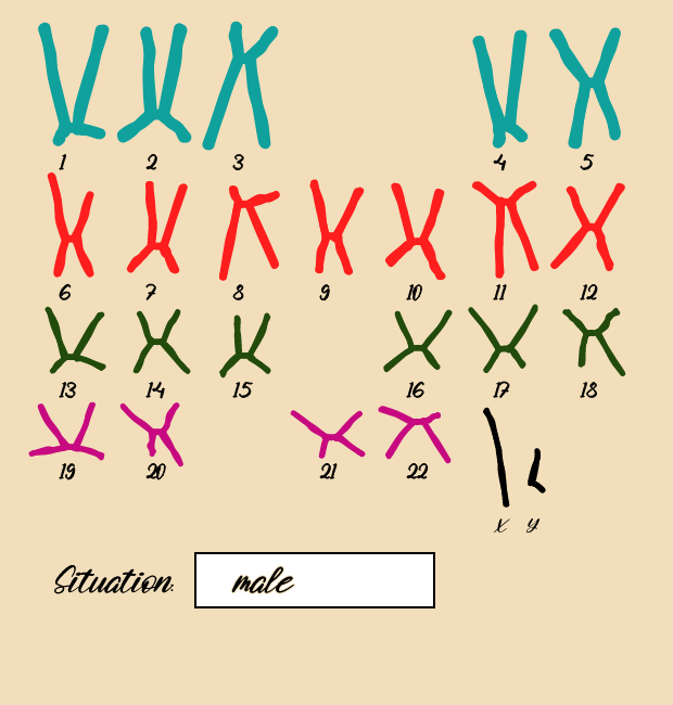 "Karyotype" #3