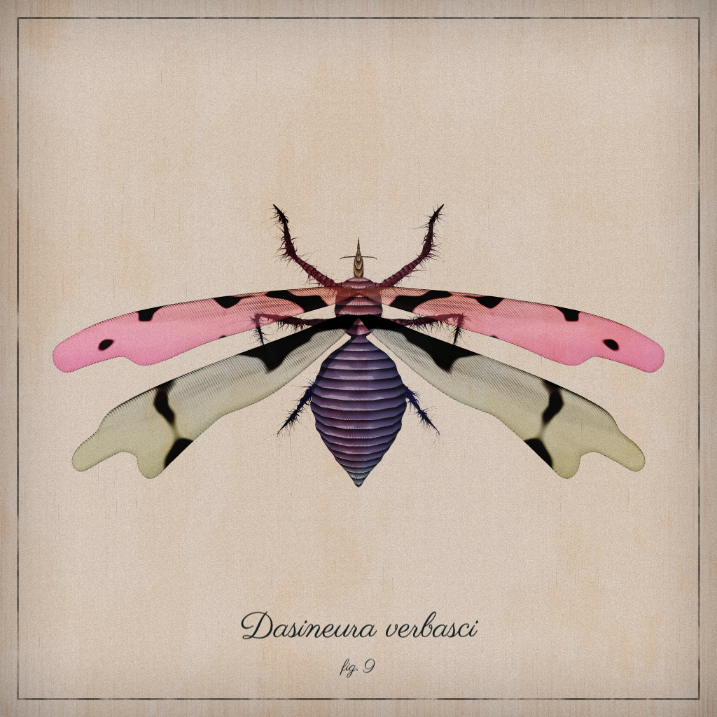 ProcGen Entomology #210