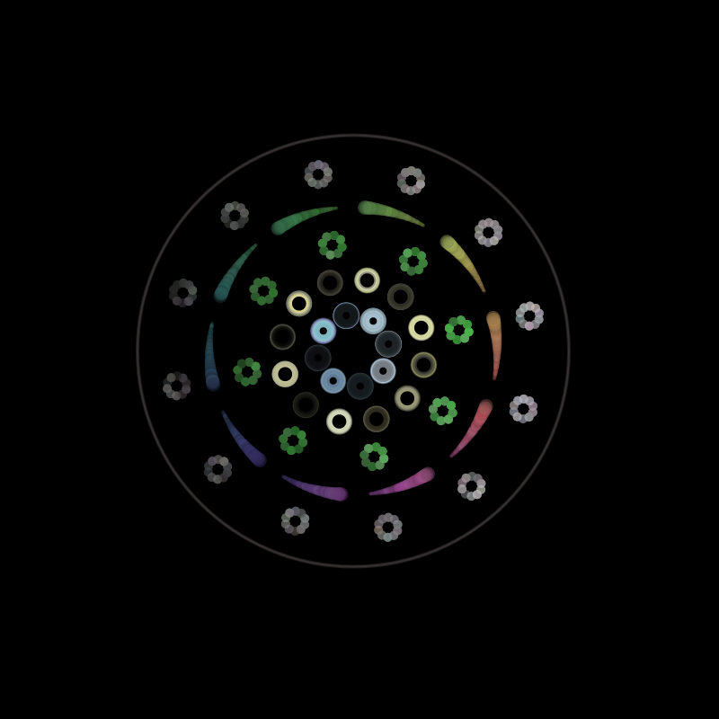 Fluidynamix - Rings #124