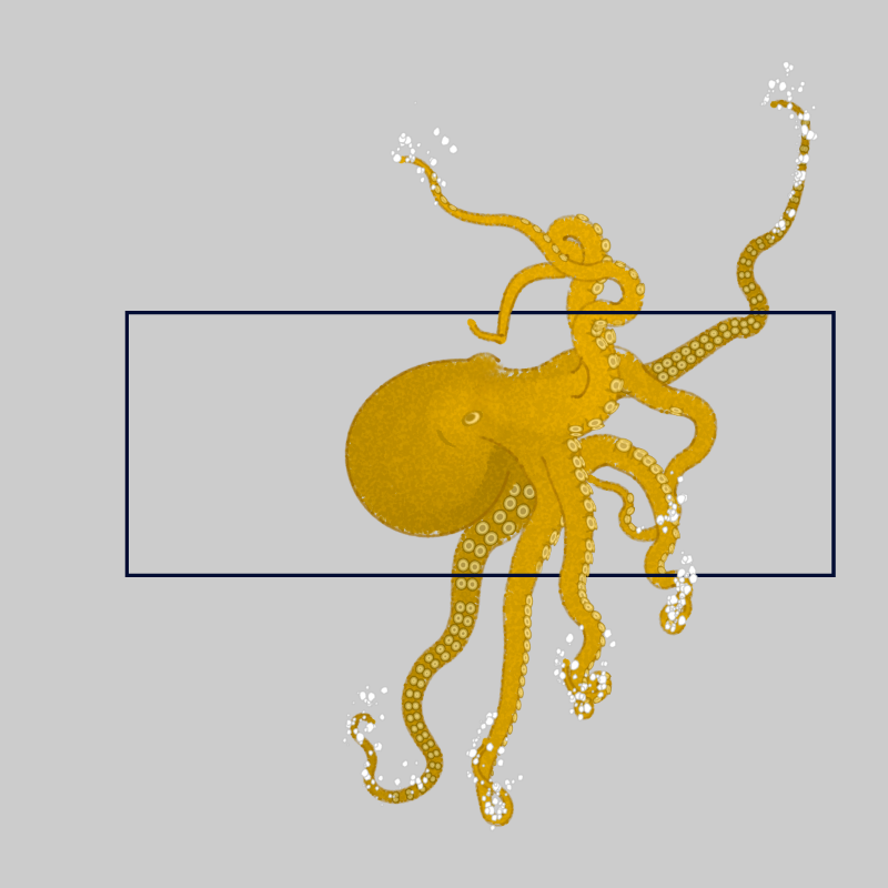 the generative octopuses #43