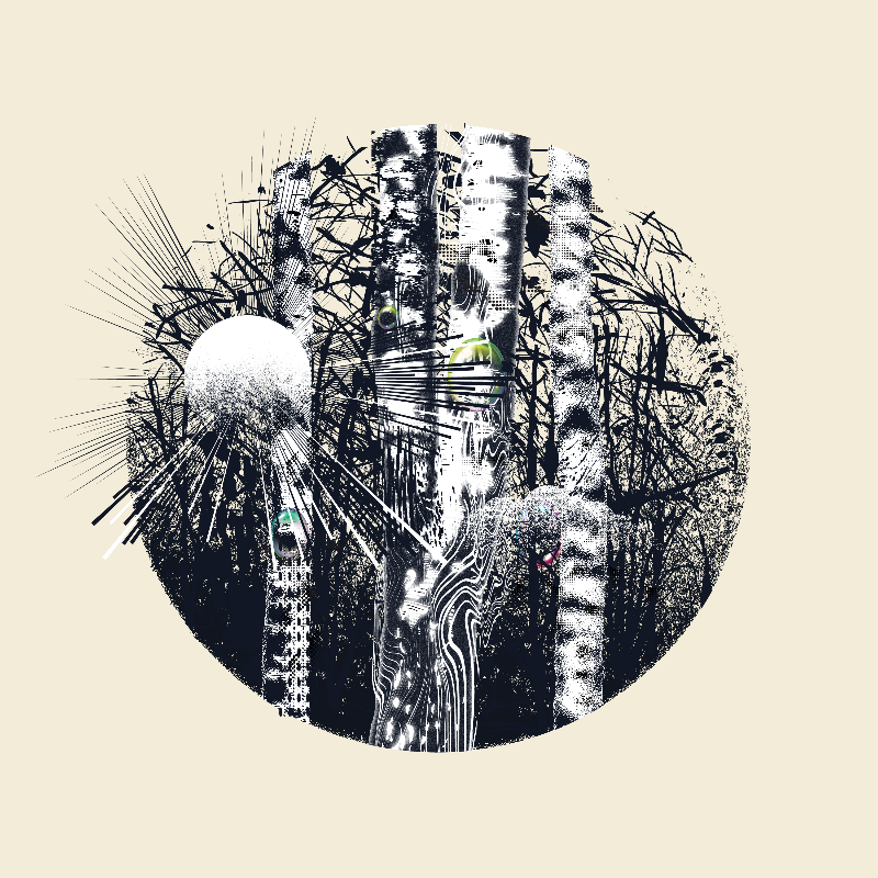 Washed Trees Fluor #21