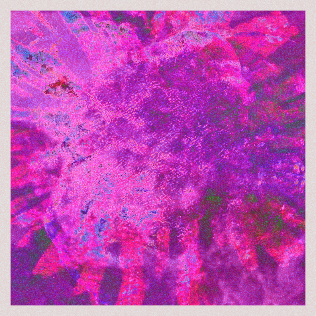 orGANics #52