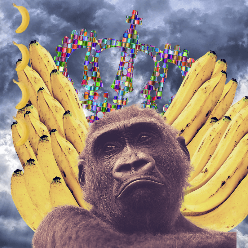 Banana gods #51