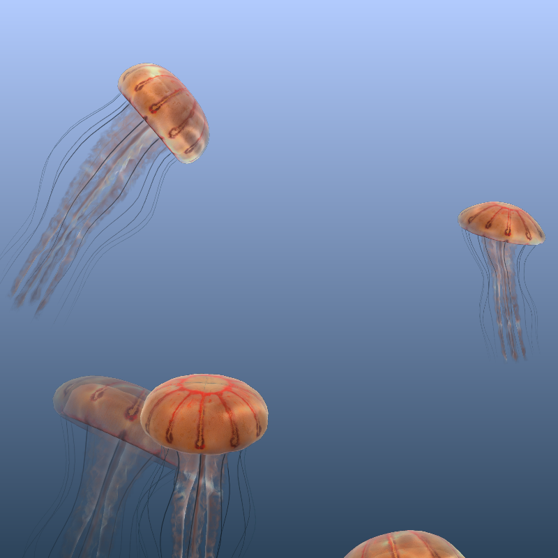 Jellyfish #11