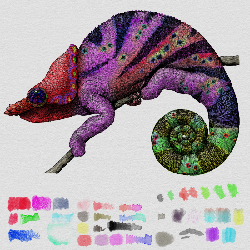 Colorful Cameleon #7