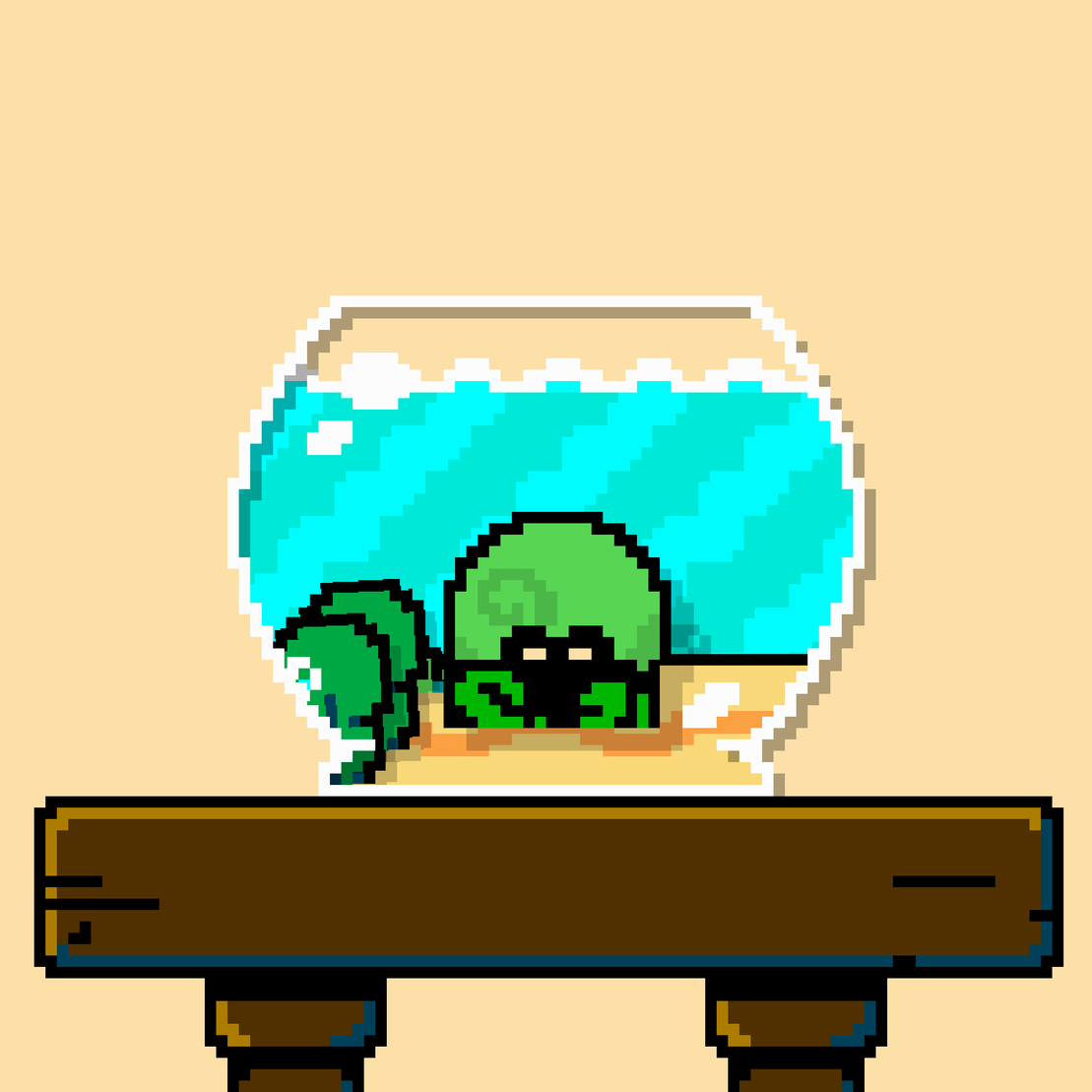 hermit crab #158