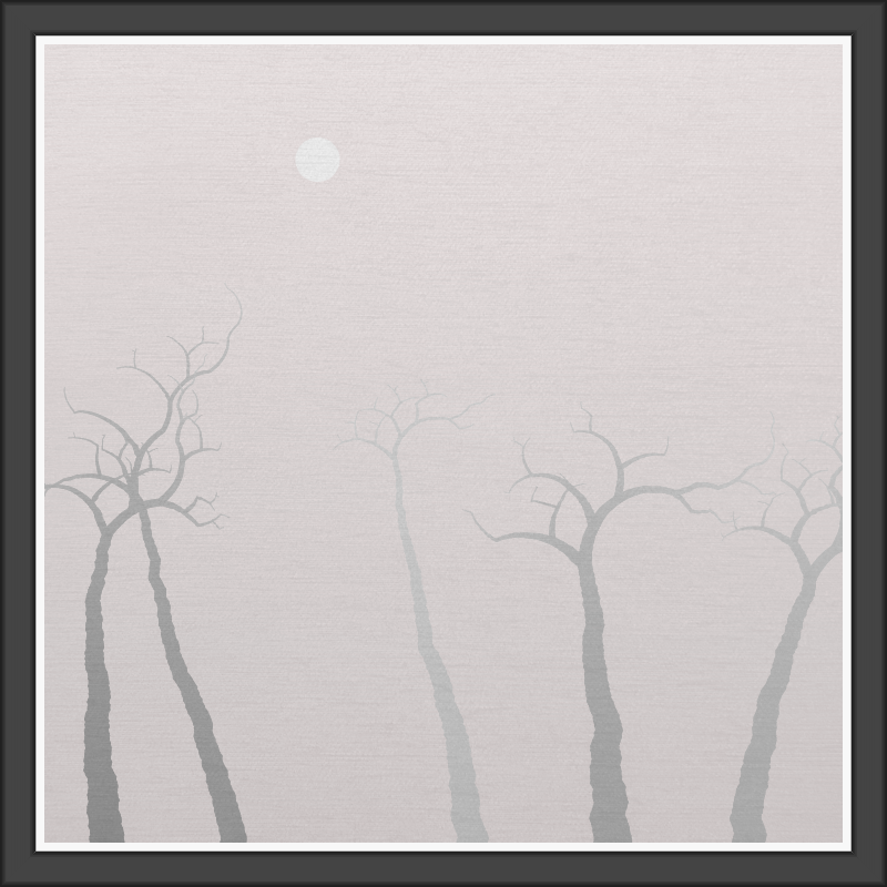 The Foggy Trees #85