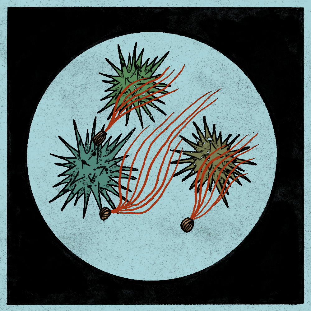 Microbes #213