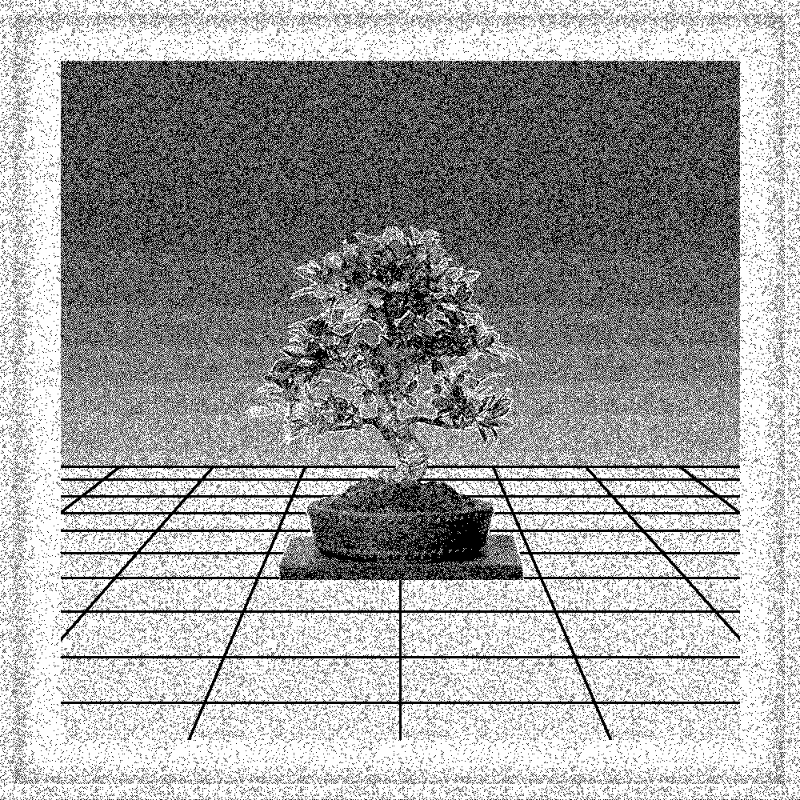 Bonsai Bonanza #281