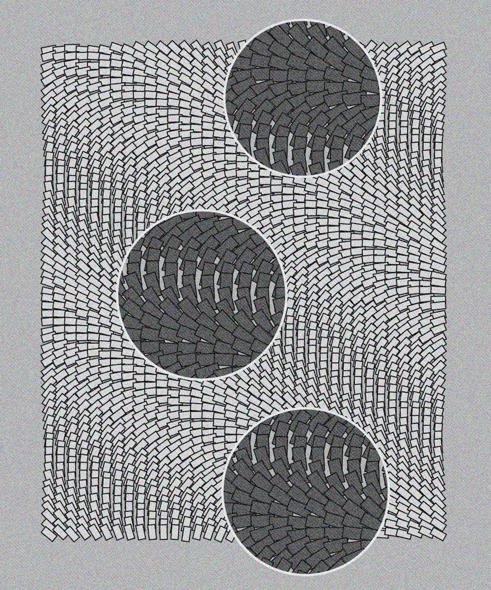 Plexus
