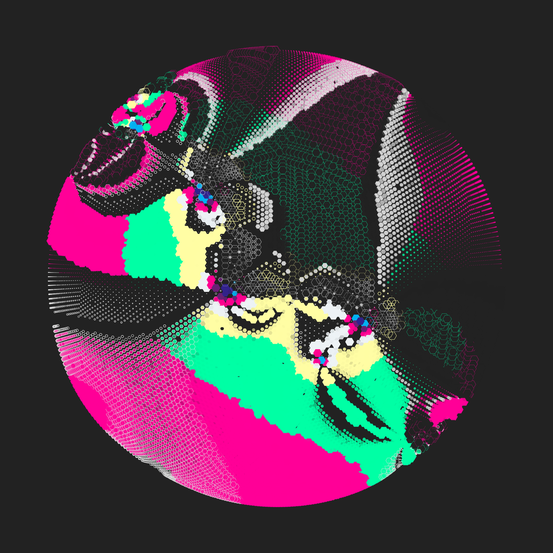 Still C #20750