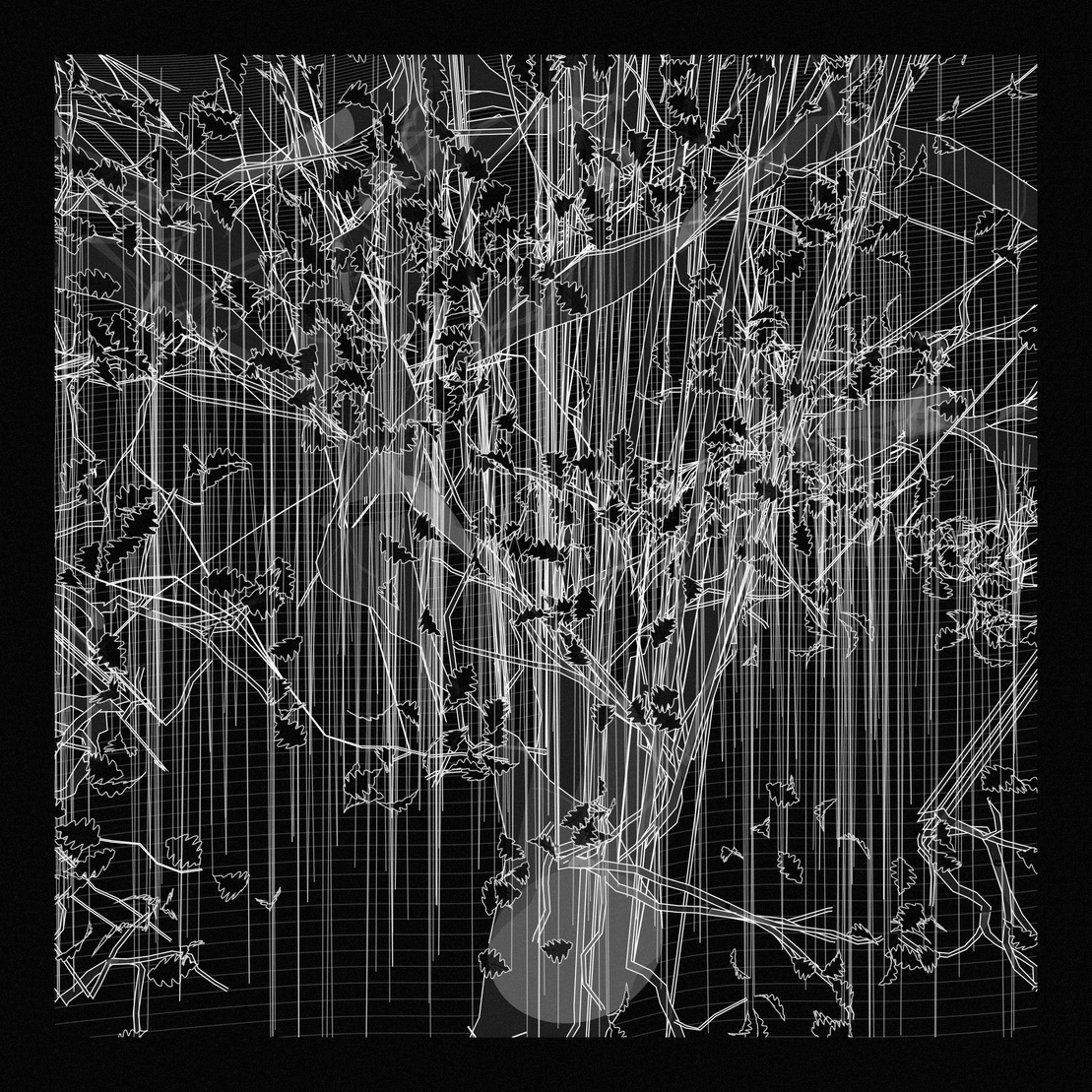 A Bugged Forest #885