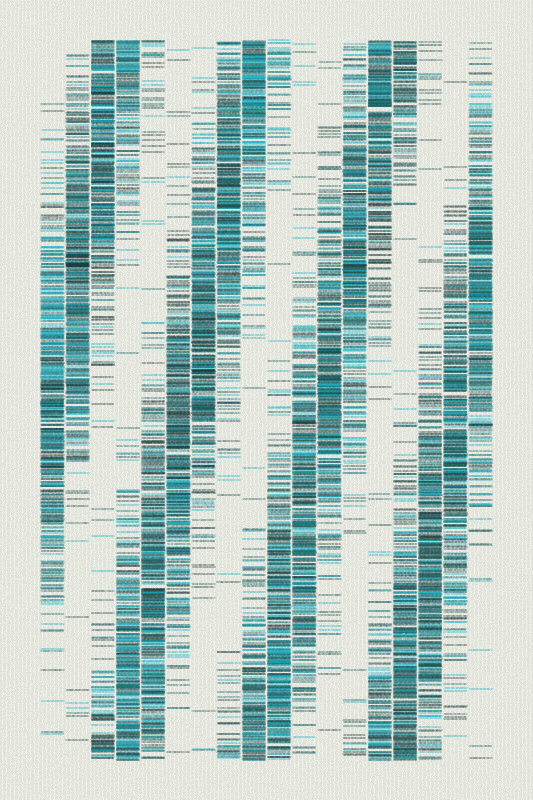 Sequence #207