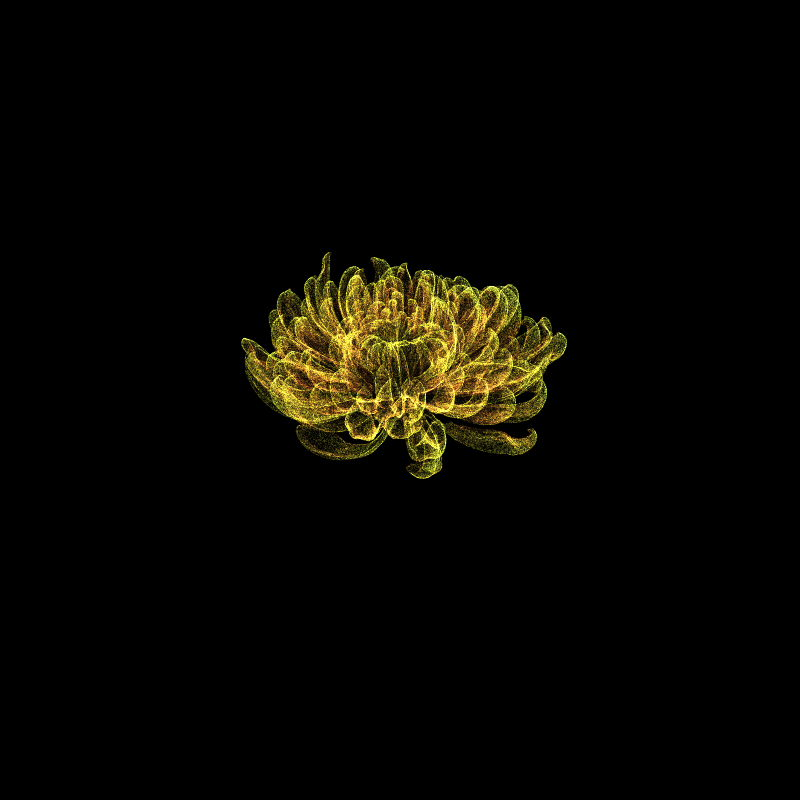 Chrysanthemum Morifolium 30 #14