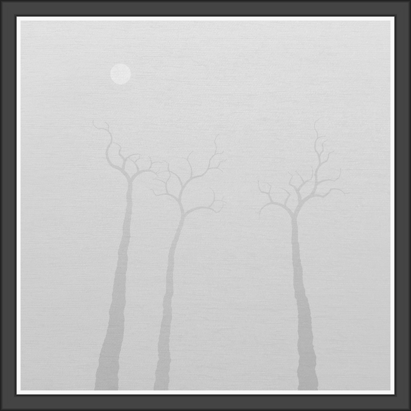 The Foggy Trees #108