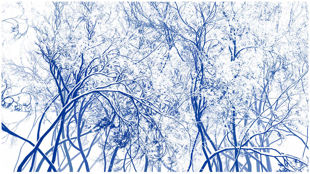 SCHNEEWALD #147