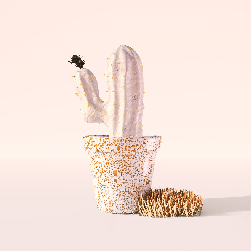 3D Crypto Cacti #43