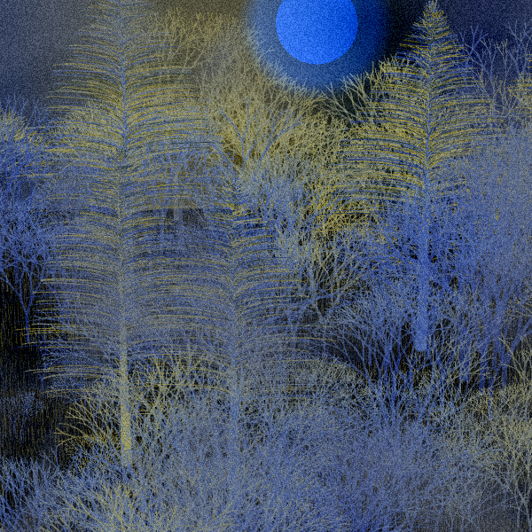 Moonlit Native Bush #104