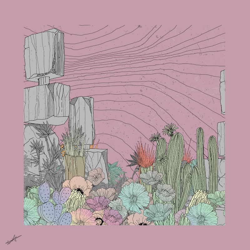 Garden of Lines #Rocks_Blooms #14