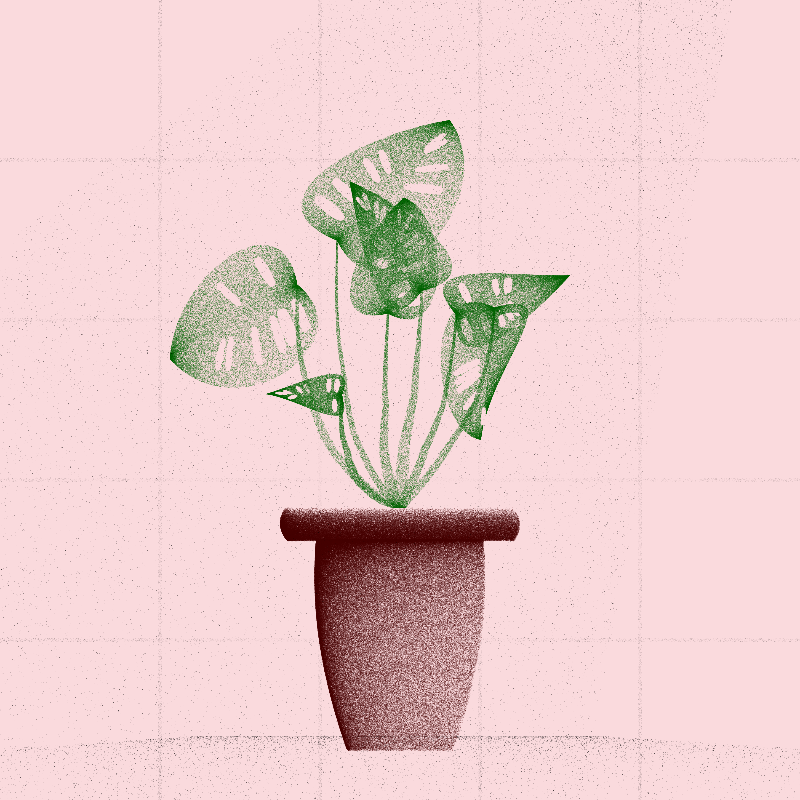 🌱 Potted & Printed #420