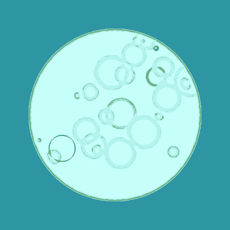 Cheap Petri Dish #57