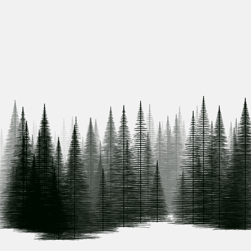 Pine trees in the cold #7