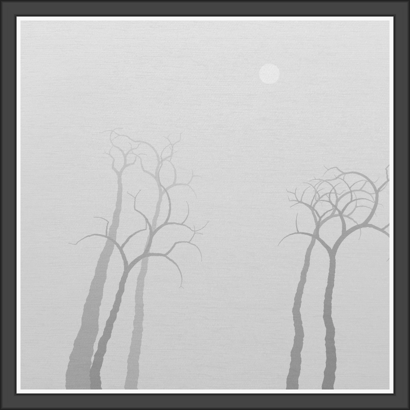 The Foggy Trees #58