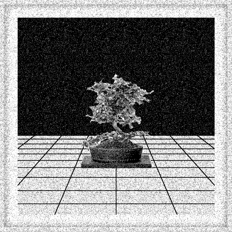 Bonsai Bonanza #221