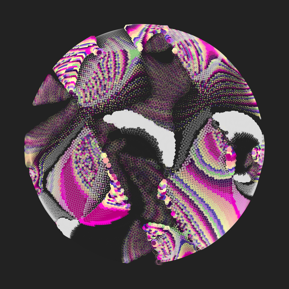 Still C #38556