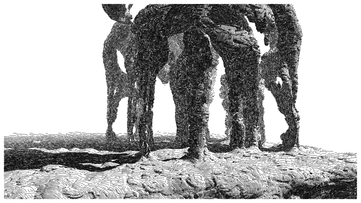 GEOMORPHISM #164