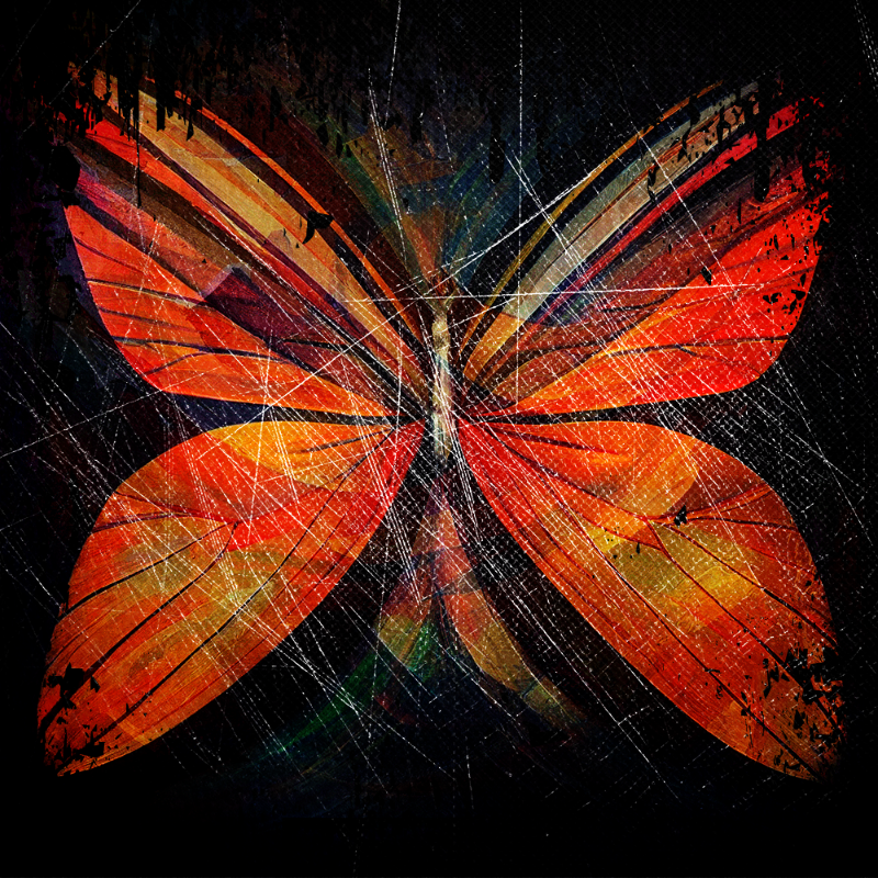 AI Butterfly #11