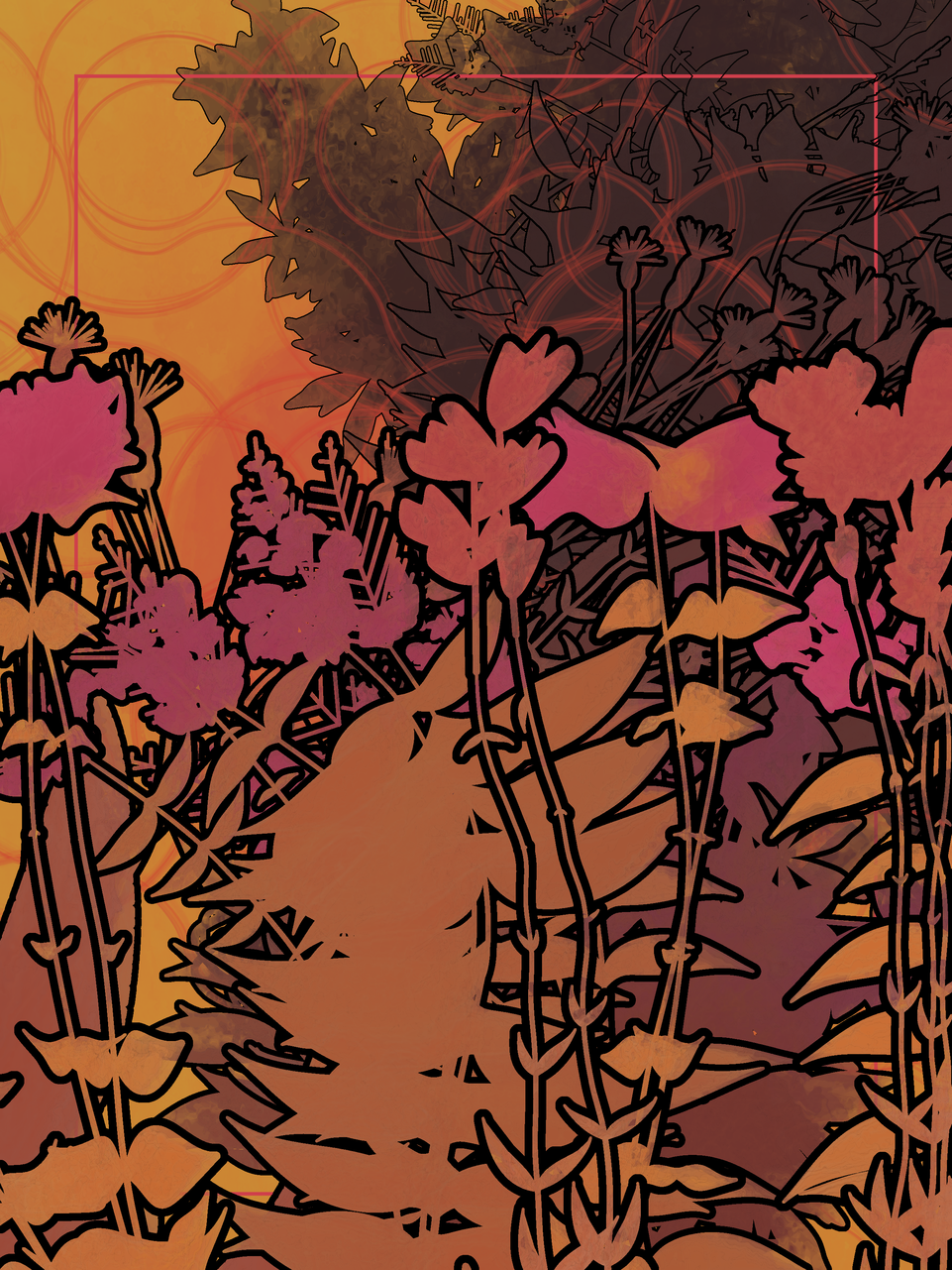 Ephemera #5