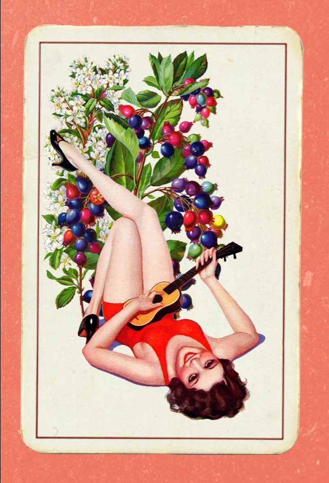 Paper Pinups  #21